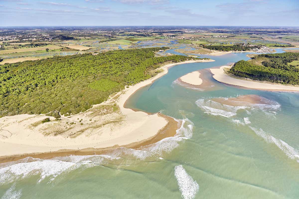discovering veillon